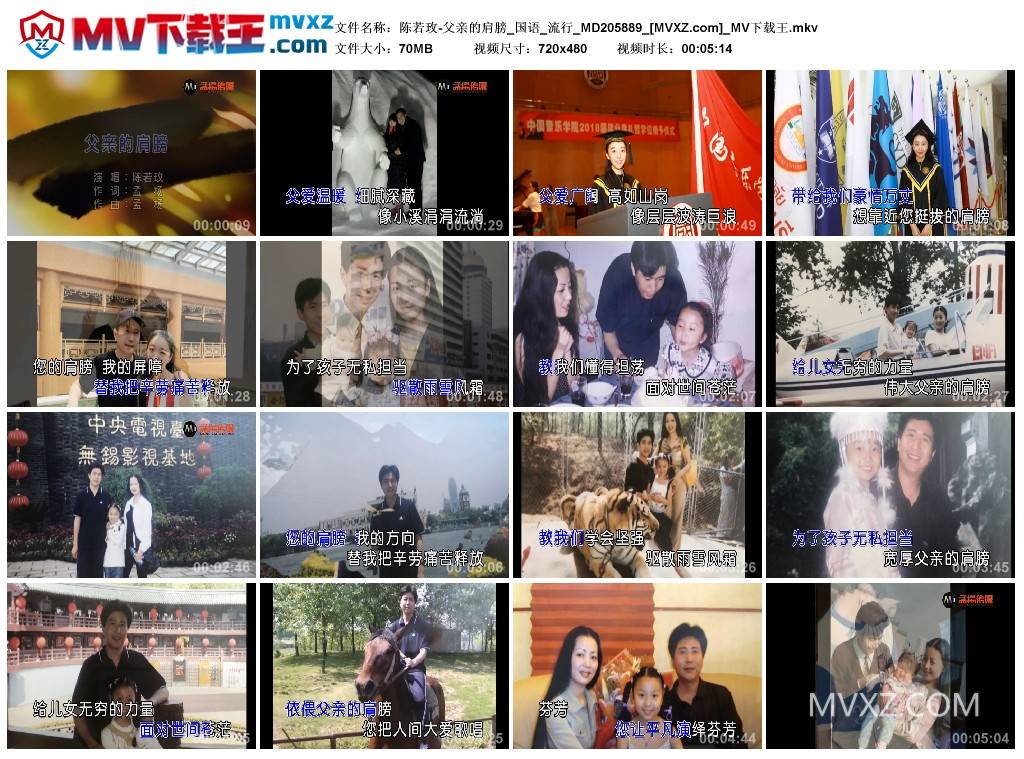 陈若玫-父亲的肩膀_国语_流行_MD205889